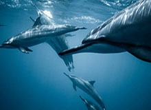 九游体育在线直播、九游体育足球直播、nba直播、电竞直播平台、九游体育赛事视频、体育直播平台-开云体育官网：一次关于热爱、信任与便捷的新旅程